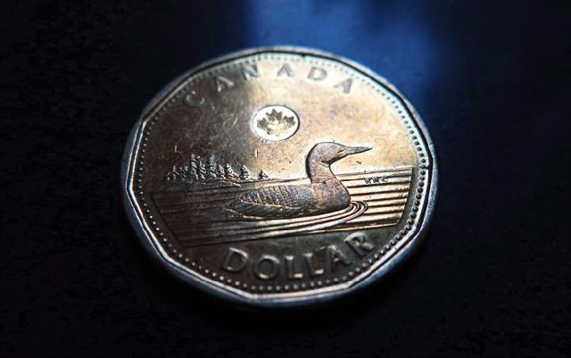 Canadian dollar gains strength as crude price rises; stock indexes surge