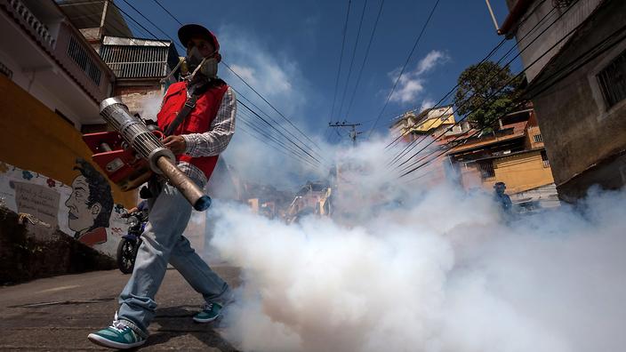 Public health workers participate in a day of fumigation to stop spread of the 'Aedes aegypti' in Caracas Venezuela 28 January 2016
