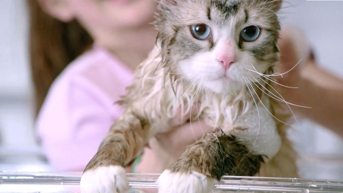 Kevin Spacey Plays A Talking Cat In New 'Nine Lives' Trailer