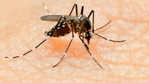 U.S. adds more countries to Zika travel alert